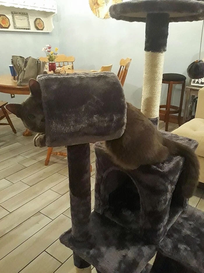 shoppingfails4_008