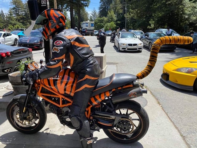 strangedesigns65_035