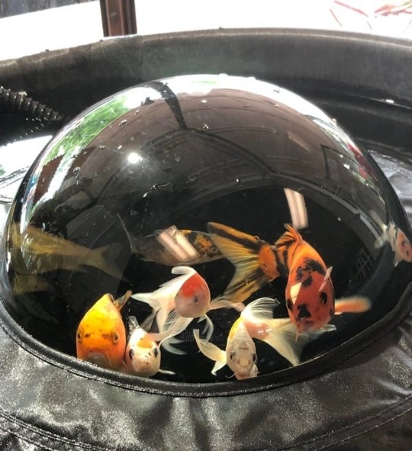 strangedesigns66_031