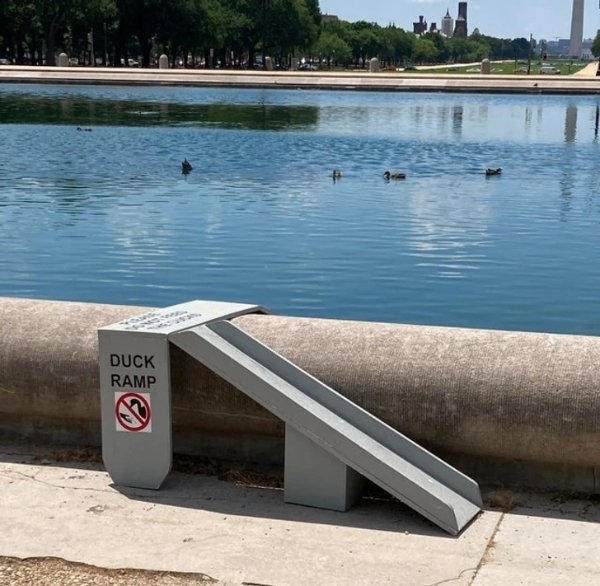 strangedesigns66_049