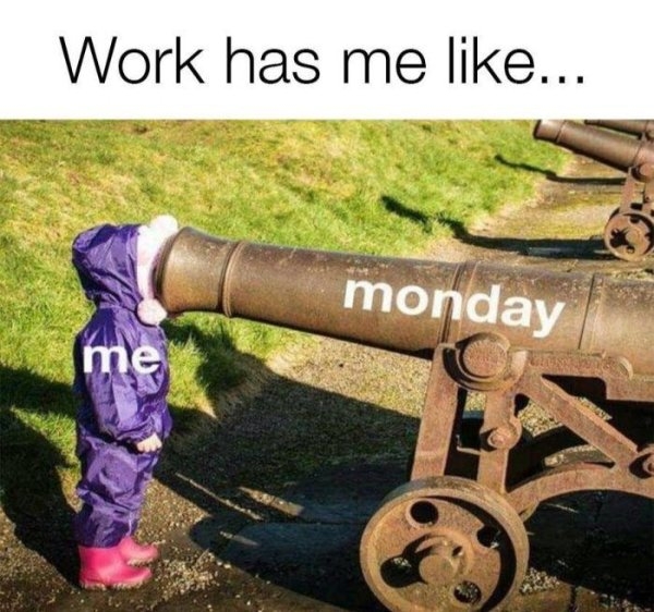 workmemes48_040