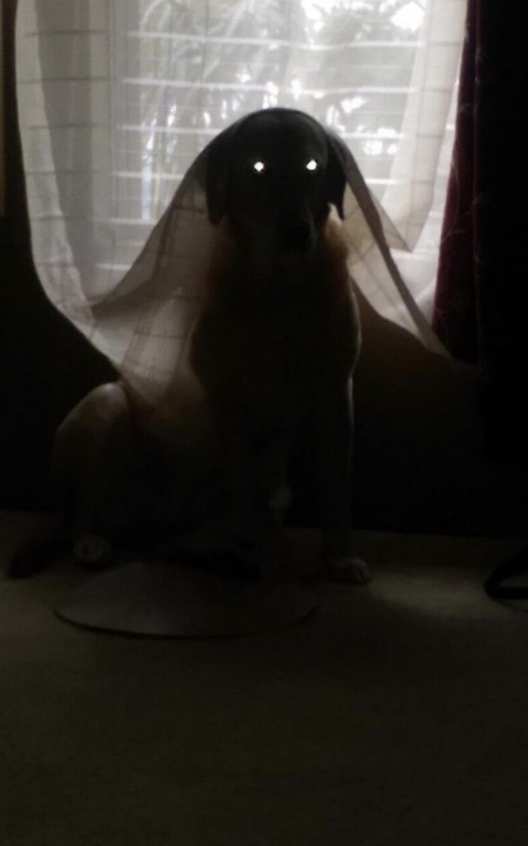 creepytoys5_002