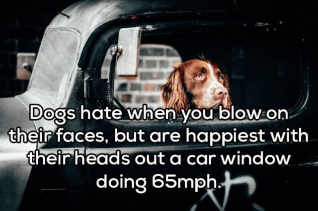 deepthoughts60_012