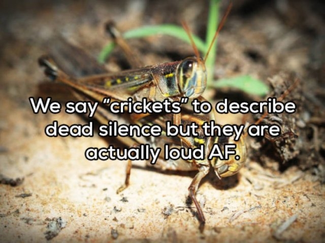 deepthoughts60_014