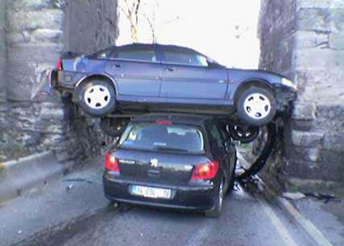 failz337_019