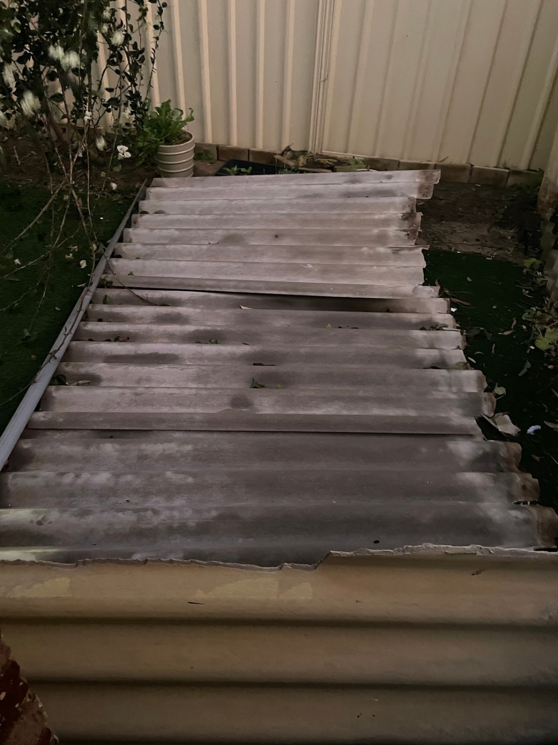 failz338_027