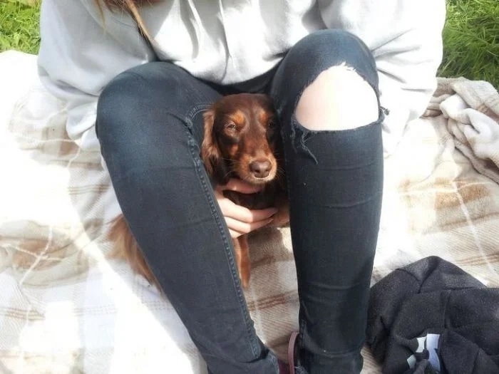 funnyanimals180_033