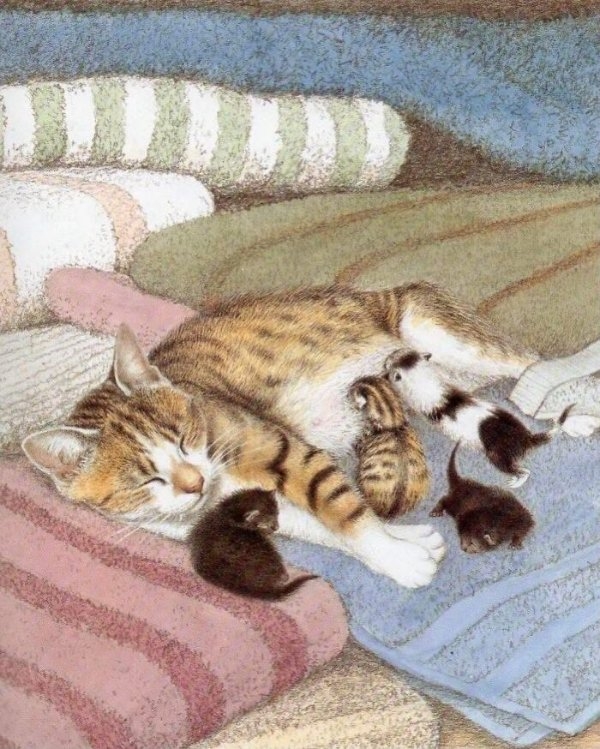 funnycats111_003