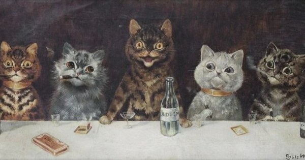 funnycats111_007