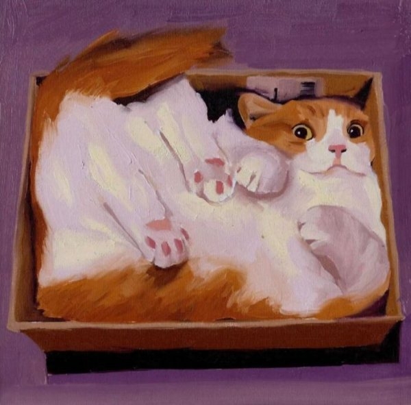 funnycats111_018