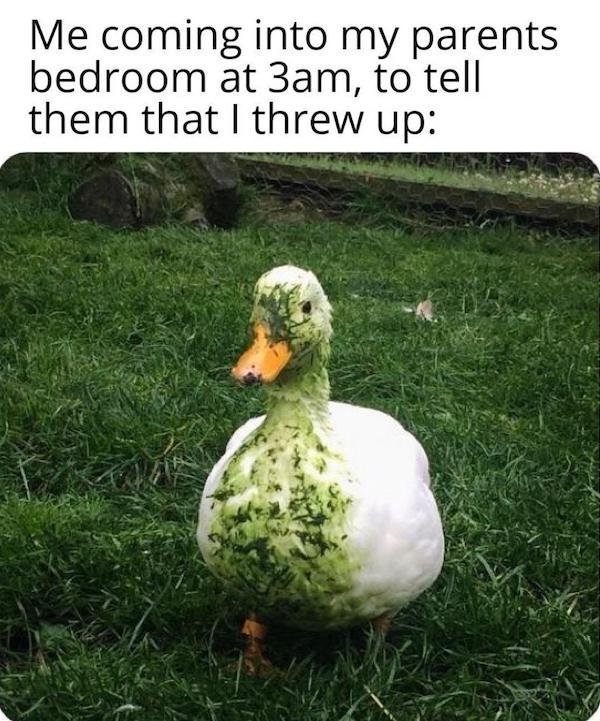 funnyjokes14_005