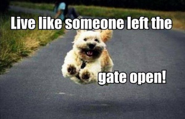 funnyjokes14_006
