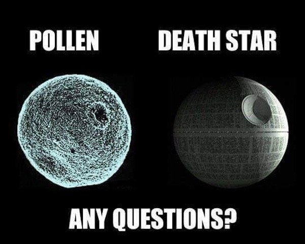 funnyjokes14_021