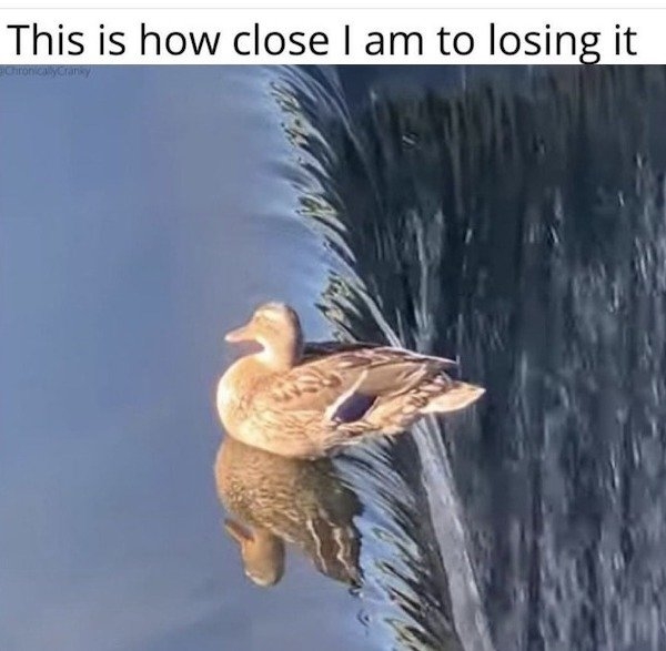 funnyjokes15_002
