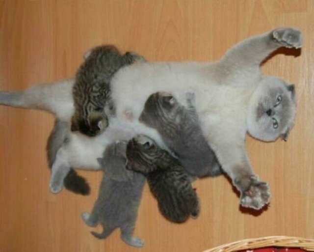 funnyjokes15_005