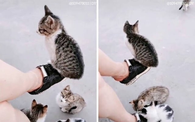 funnyjokes15_007