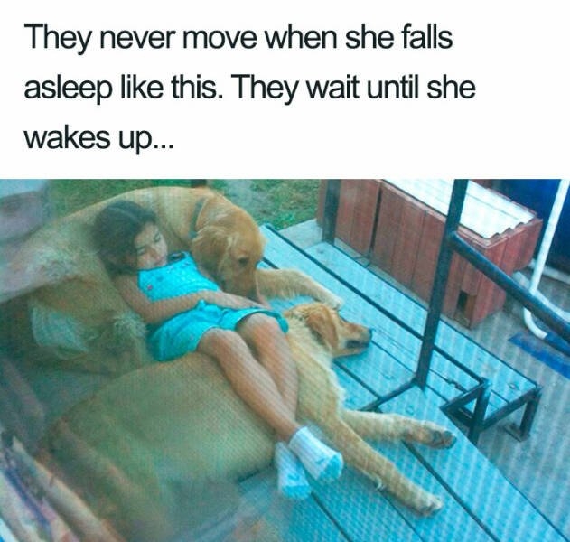 funnyjokes15_022
