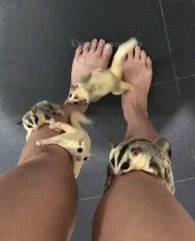 funnyjokes15_024
