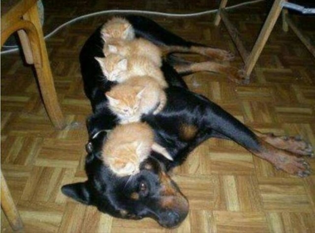 funnyjokes15_026