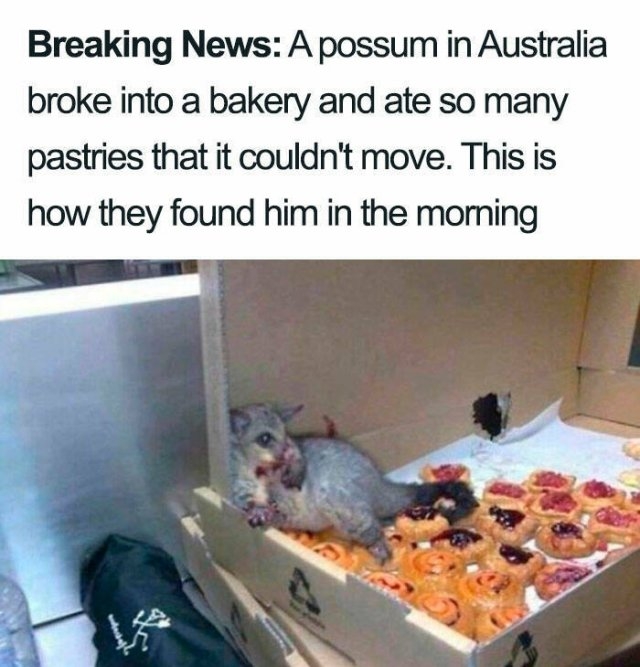 funnyjokes15_029