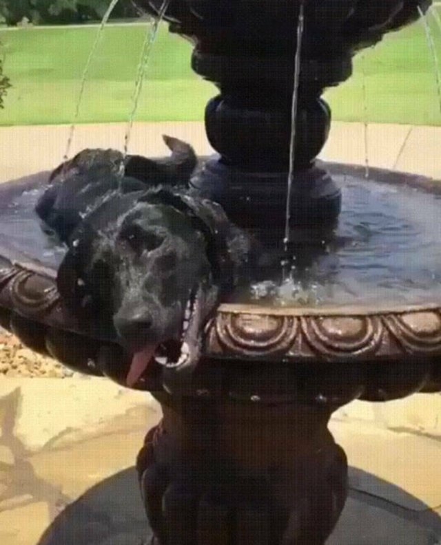 funnyjokes15_037
