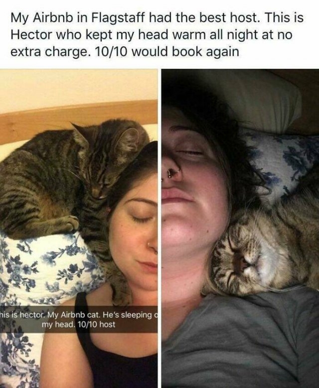 funnyjokes15_040