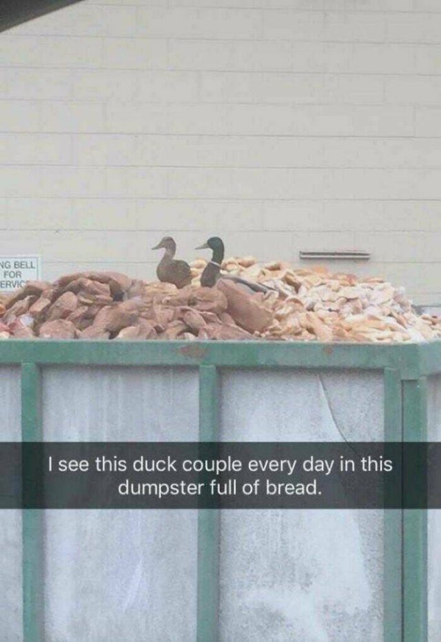 funnyjokes16_004