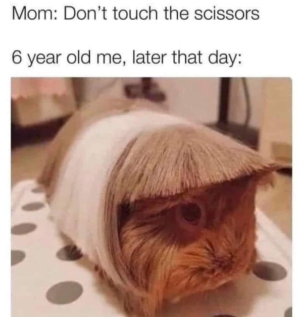 funnyjokes16_038