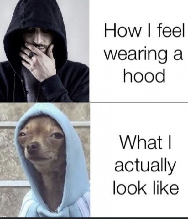 funnyjokes16_039