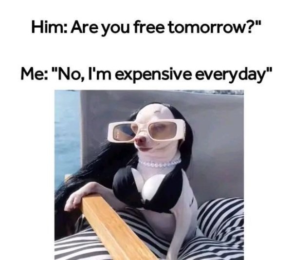 funnyjokes17_014