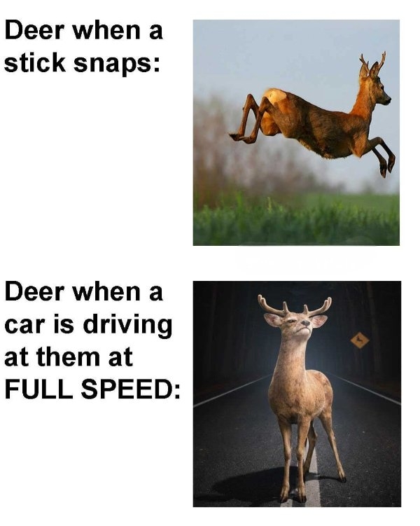 funnyjokes17_023