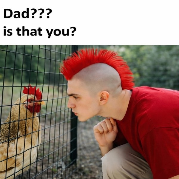 funnyjokes17_029