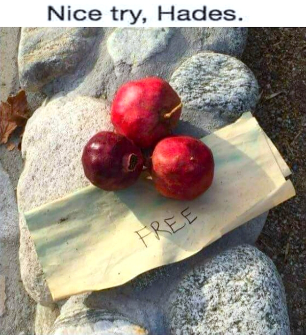 funnymemes493_004