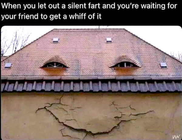 funnymemes493_013