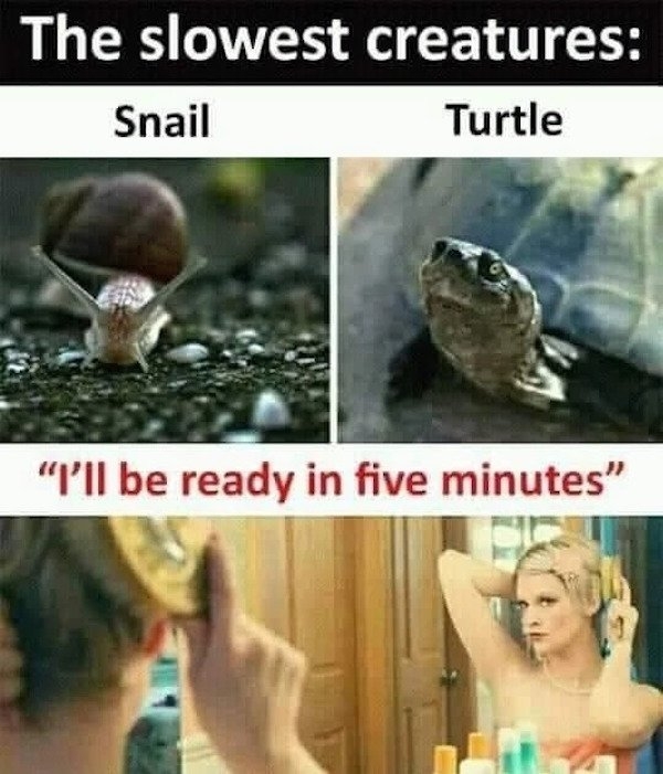 funnymemes493_028