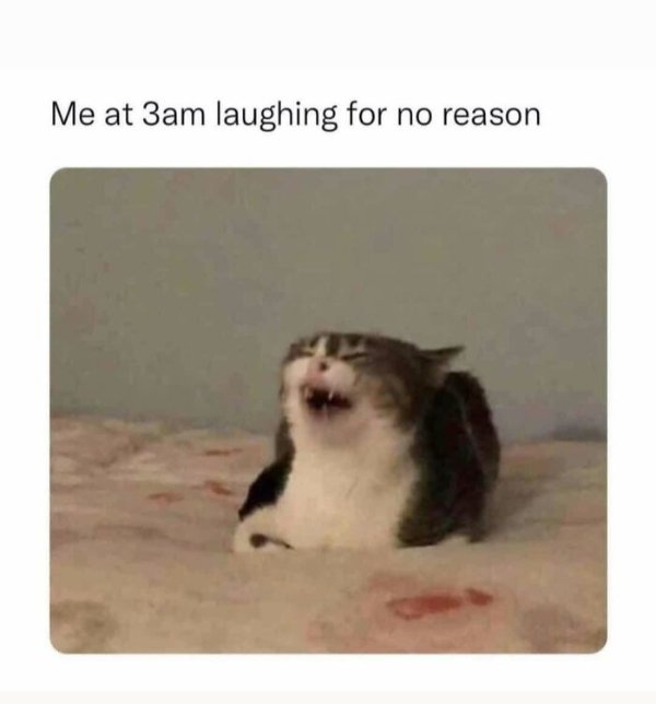 funnymemes499_003