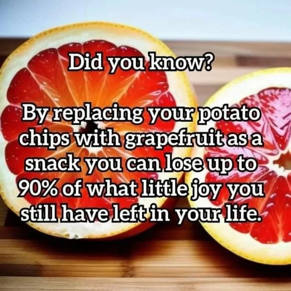 funnymemes499_007