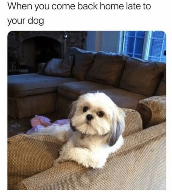 funnymemes499_013