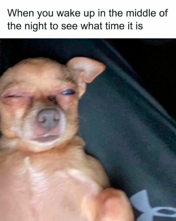 funnymemes499_017