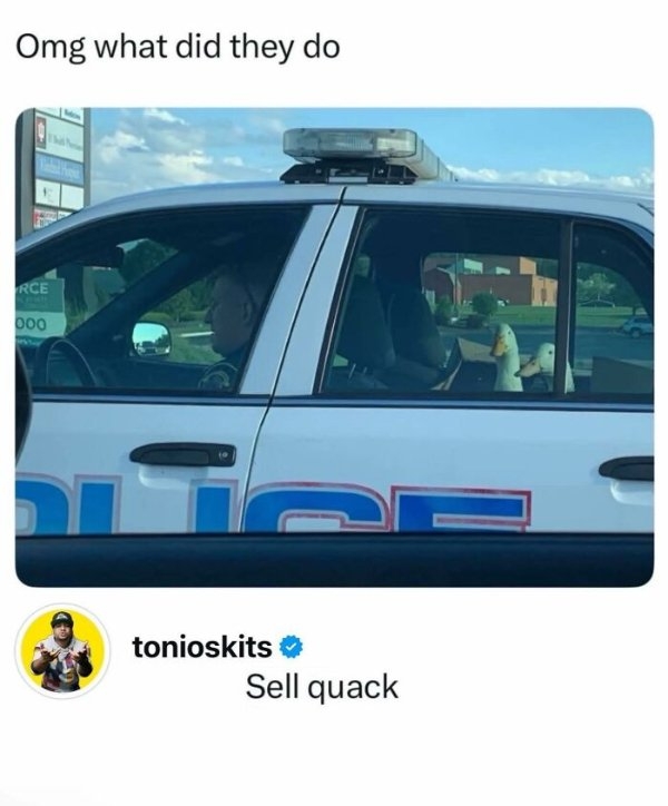 funnymemes499_021
