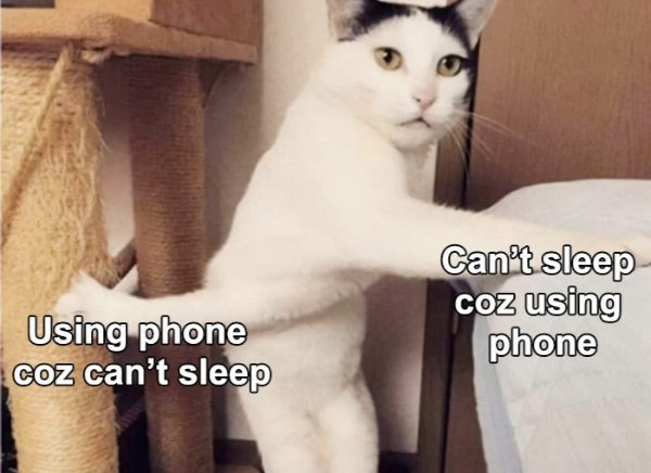 funnymemes499_028