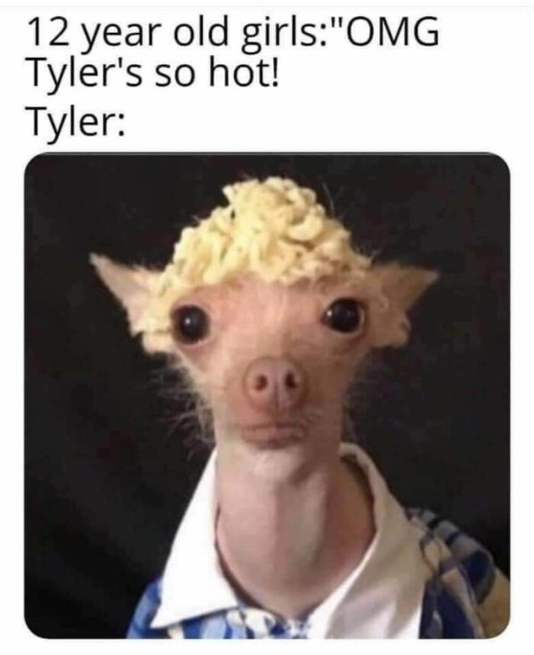 funnymemes499_030