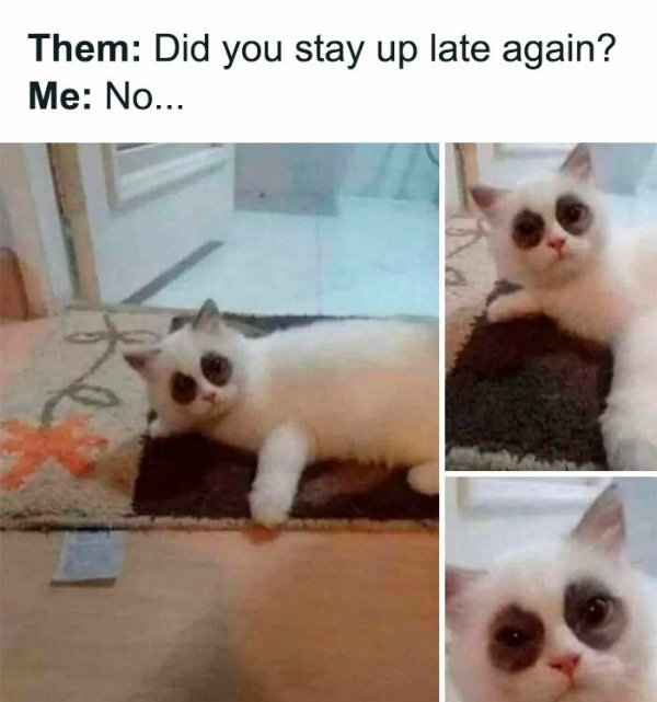 funnymemes499_032