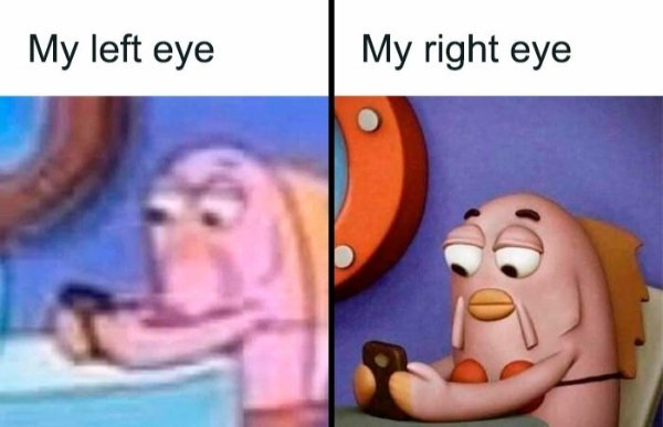 funnymemes499_036