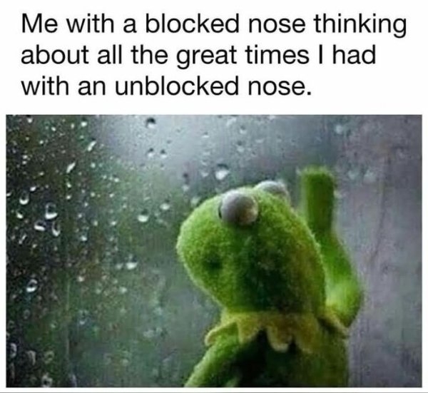 funnymemes499_037