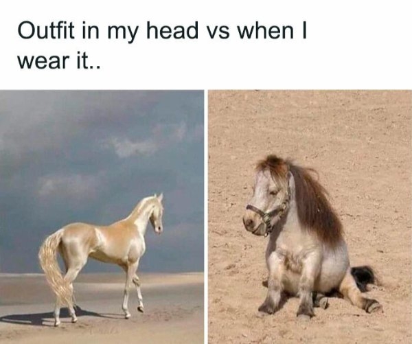funnymemes499_038
