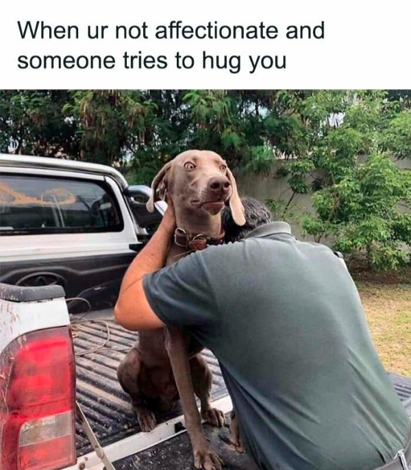 funnymemes500_002