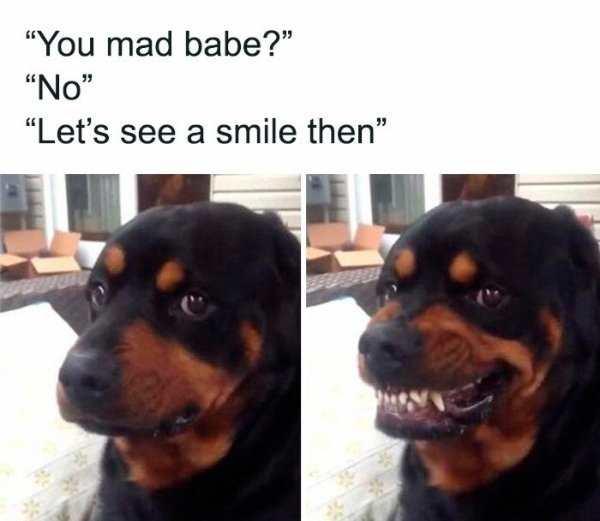 funnymemes500_004