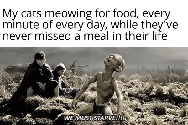 funnymemes500_023