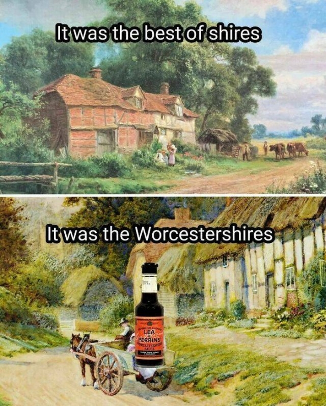 funnymemes501_014